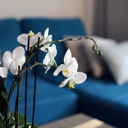 Apartament Turkus Szczecin Bagian luar foto
