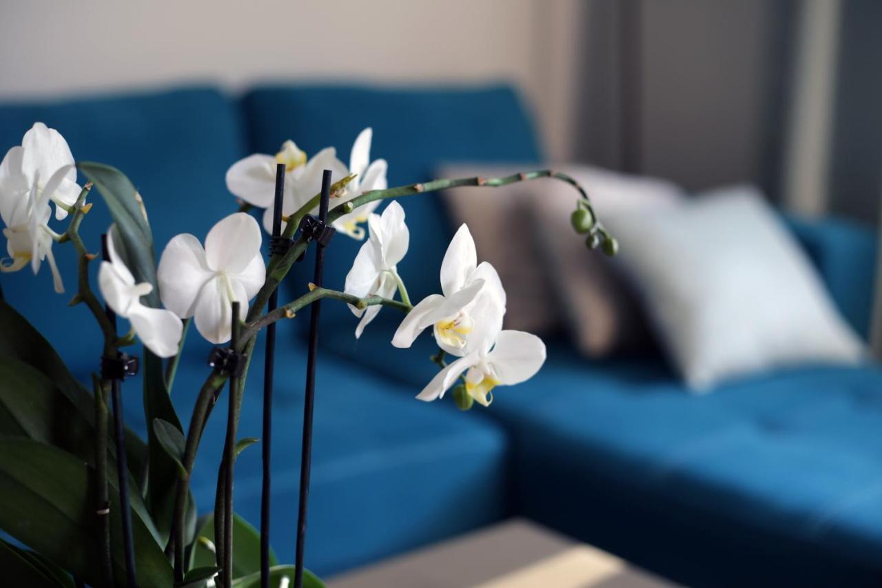 Apartament Turkus Szczecin Bagian luar foto